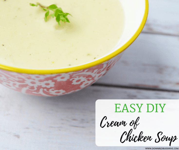 Easy DIY Cream of Chicken Soup