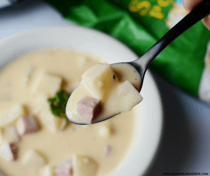 Image for Cheesy Ham and Potato Soup {Crockpot or Stove}
