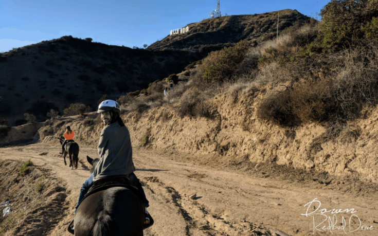 Tour Los Angeles In A Day | The best sites for a day trip!