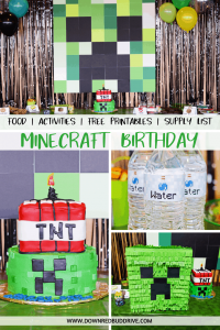 minecraft birthday party