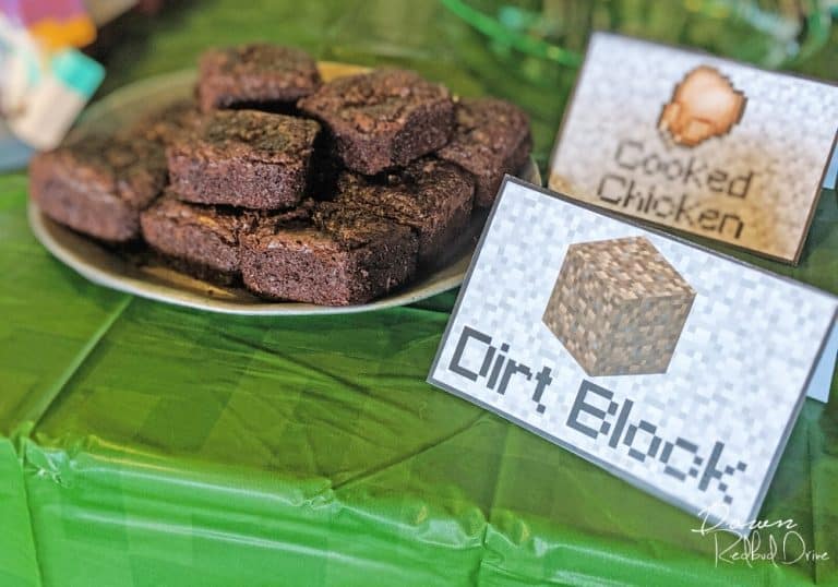 Minecraft Birthday Party | Food, Games, Free Printables!