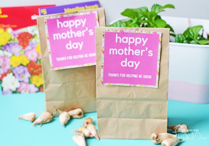Mother's Day Flowering Bulb Gift | With free printable tags!