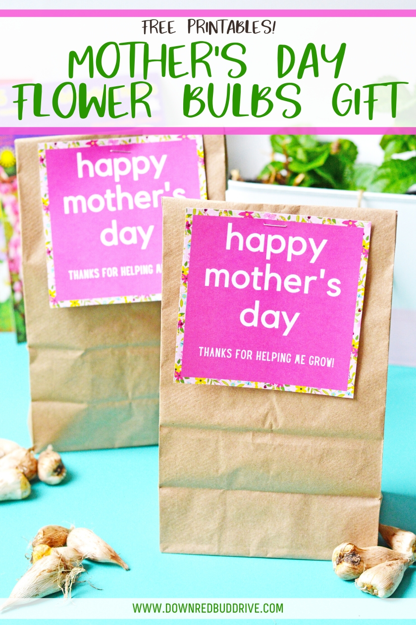 Mother's Day Flowering Bulb Gift | With free printable tags!