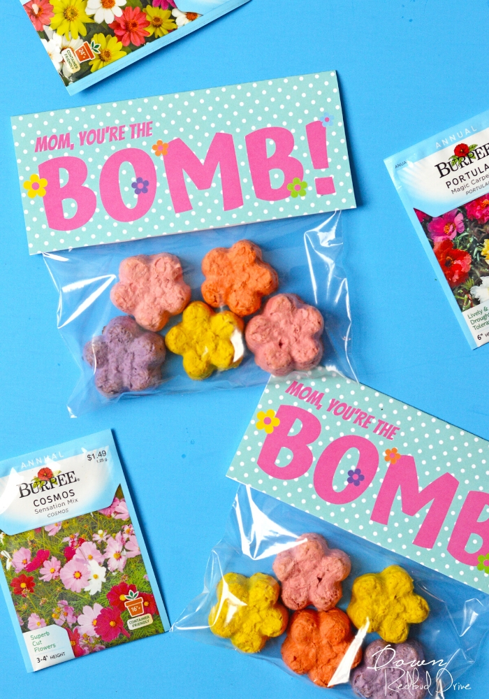 mother's day diy seed bombs