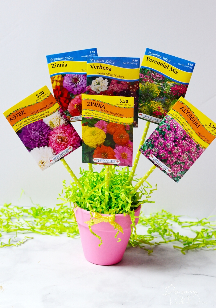 DIY Seed Bouquet gift