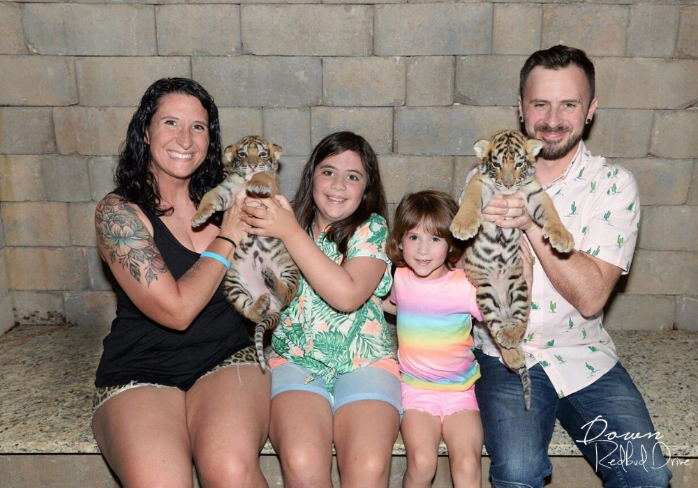 Family holding baby tiger cubs at Doc Antle's Myrtle Beach Safari