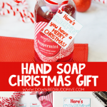 Christmas Hand Soap Gift DIY