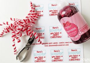 Christmas Hand Soap Gift DIY - Down Redbud Drive