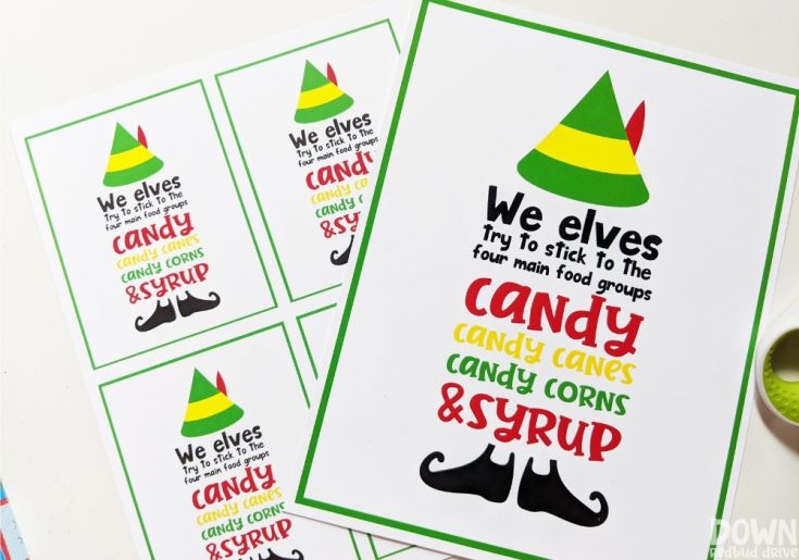 Elf Food Groups Gift Idea | Free printable sign too!