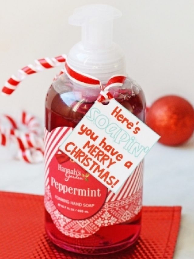 Christmas Hand Soap Gift DIY Story - Down Redbud Drive