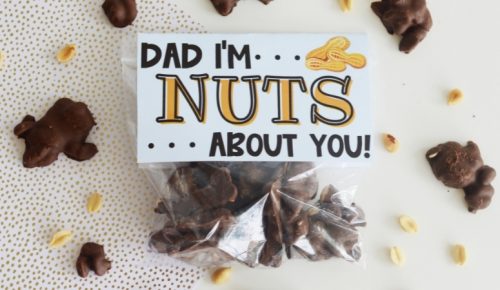 DIY Father's Day I'm Nuts About You Candy Gift Featured Image