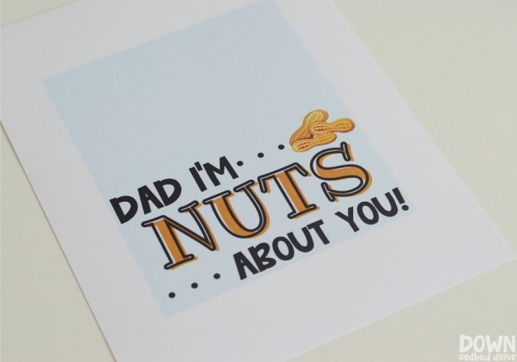 DIY Father's Day Nuts Gift | Printable Candy Tags!