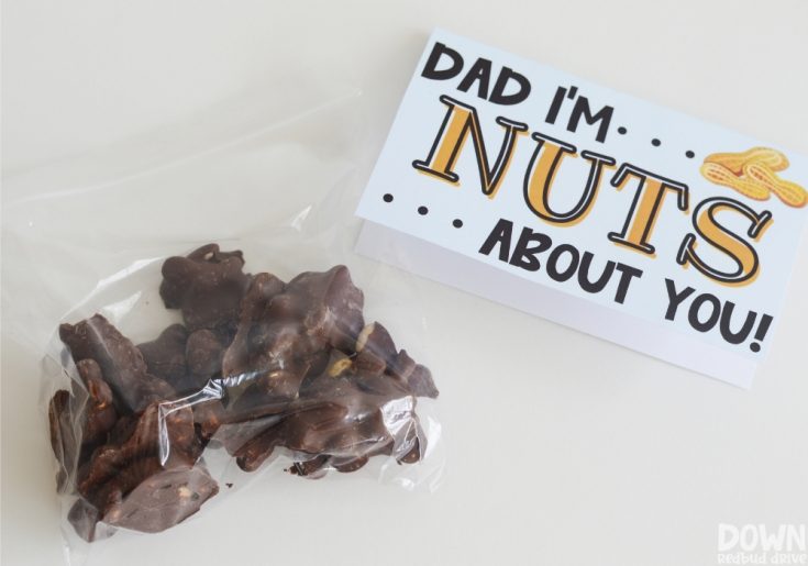 DIY Father's Day Nuts Gift | Printable Candy Tags!