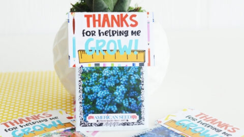 Teacher Seeds Gift Featured Image