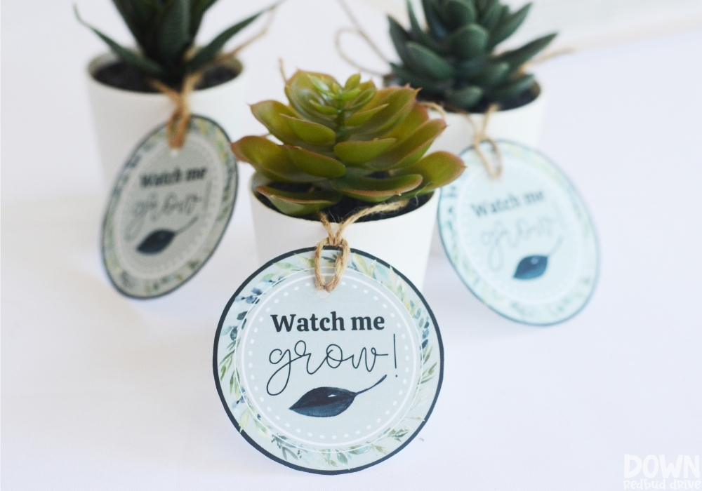 Close up of the parting gift printable tags for the DIY Greenery Baby Shower.
