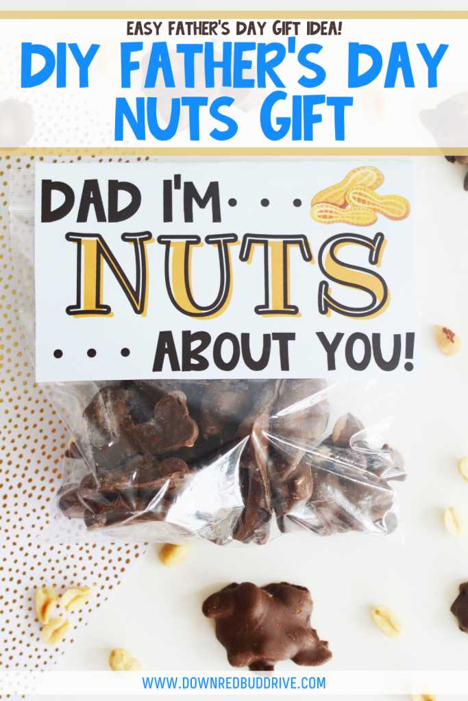 Father's Day Nuts Gift