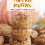 3 Ingredient Pumpkin Muffins