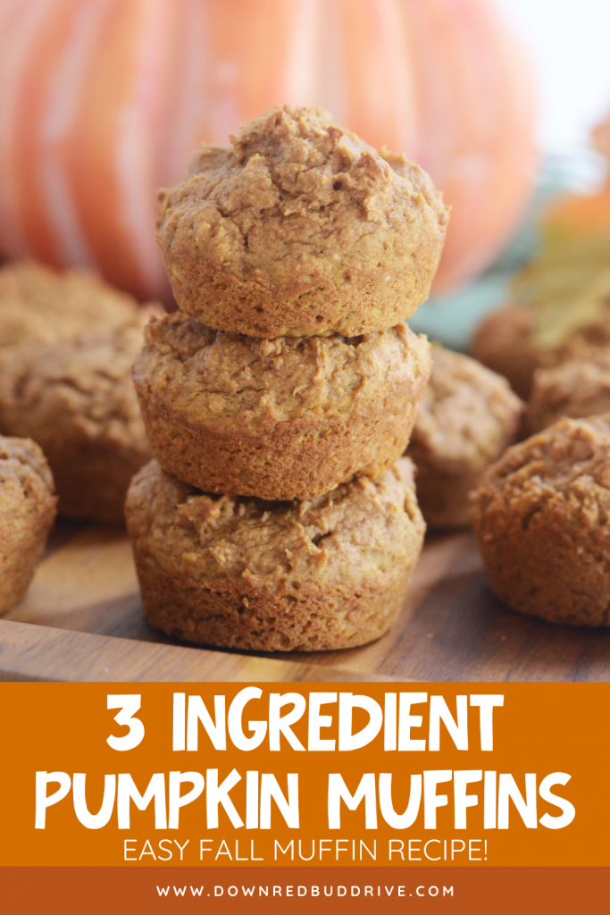 3 Ingredient Pumpkin Muffins