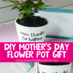 DIY Mother's Day Cricut Flower Pot gift