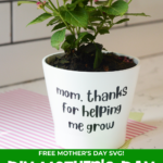 DIY Mother's Day Cricut Flower Pot gift