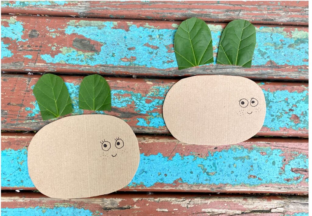 cardboard and leaf bees