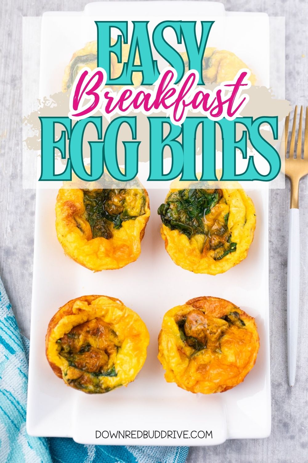 easy egg bites recipe