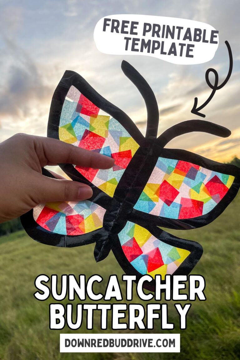 Butterfly Suncatcher Craft for Kids - Down Redbud Drive