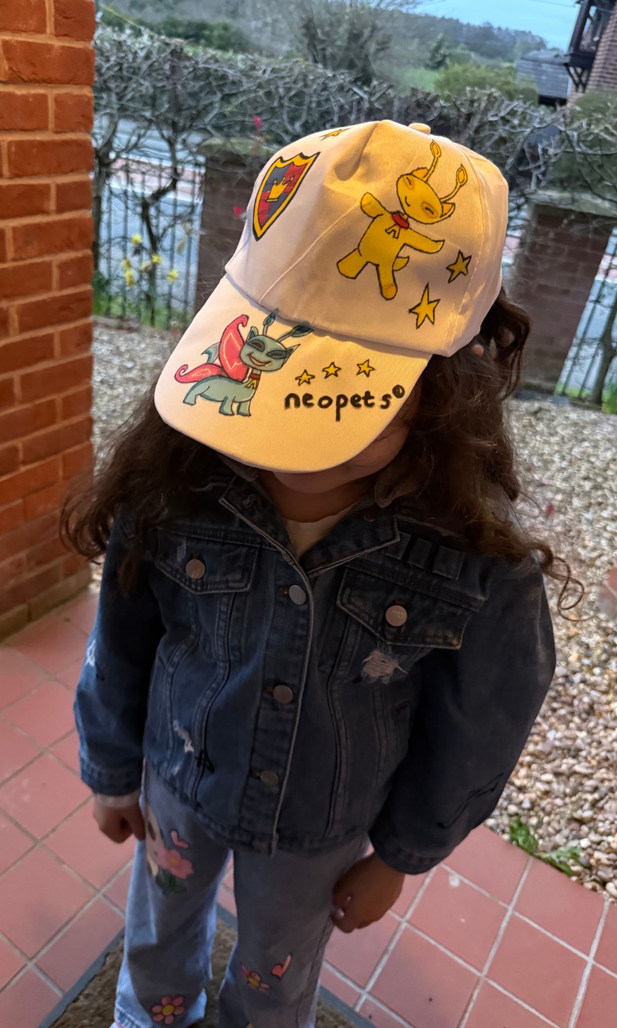 neopets hat 