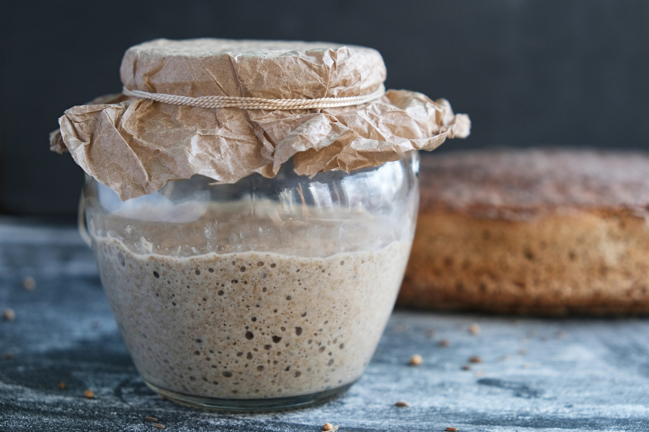 sourdough starter 
