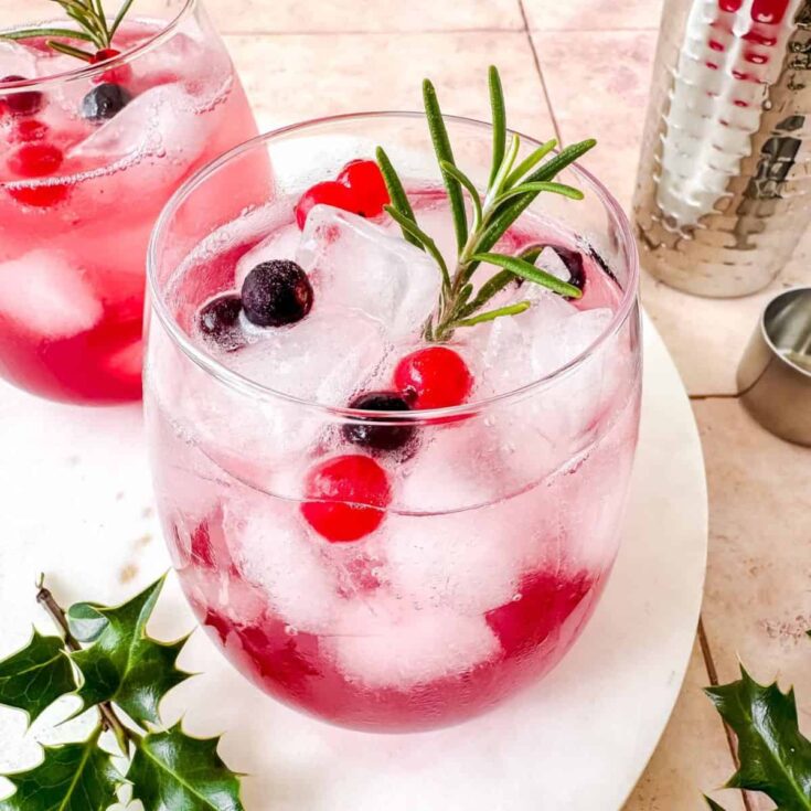 Image for Cranberry Juice Mocktail
