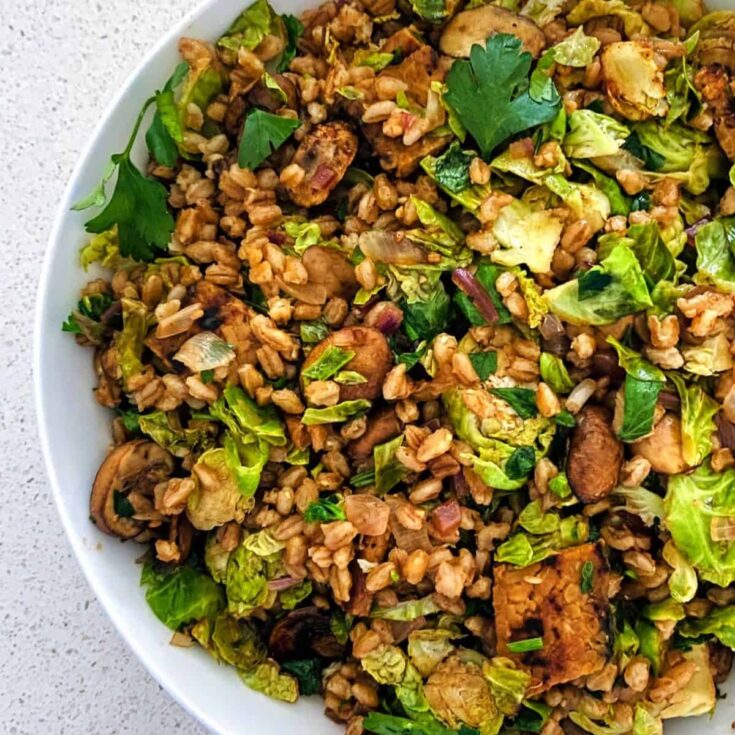 Image for Italian Farro