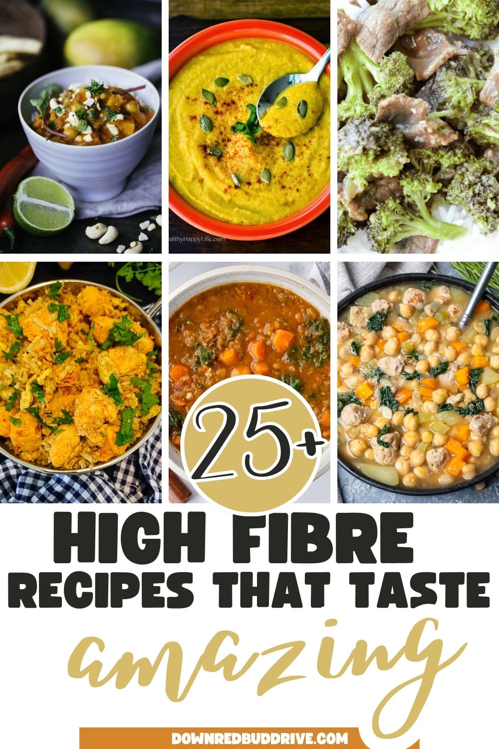 high fiber recipes that taste amazing 