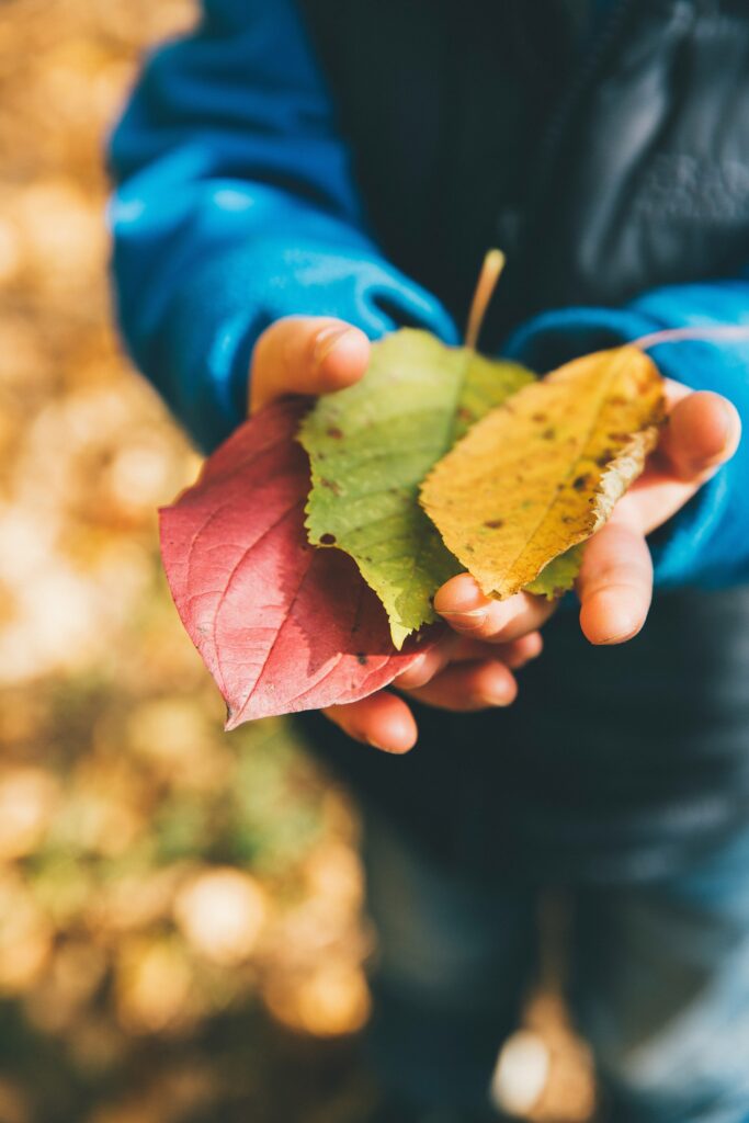 nature unschooling 