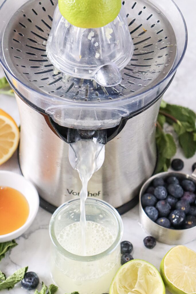blueberry mojito mocktail recipe 
