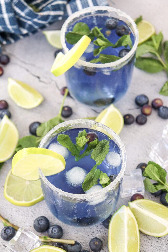 blueberry mojito mocktail recipe 