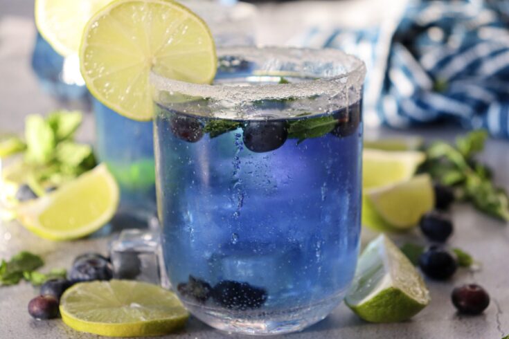 Blueberry Mojito Mocktail