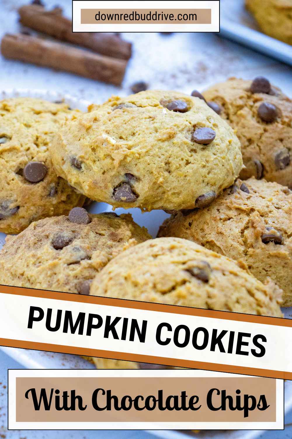 pumpkin chocolate chip cookies recipe